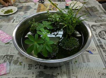 カルチャースクールいろはに投稿された画像（2016/9/16）