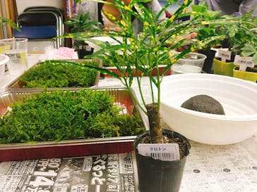 カルチャースクールいろはに投稿された画像（2016/9/18）