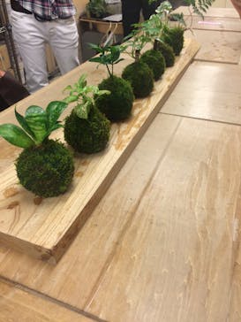 カルチャースクールいろはに投稿された画像（2016/9/18）