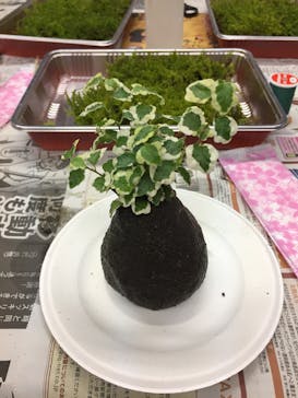 カルチャースクールいろはに投稿された画像（2016/9/16）