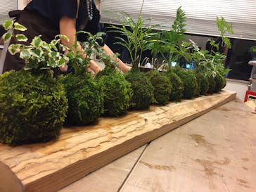 カルチャースクールいろはに投稿された画像（2016/9/16）