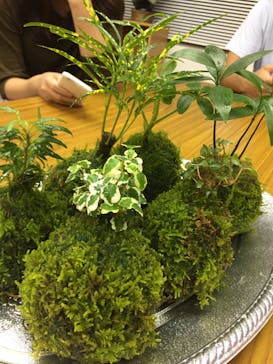 カルチャースクールいろはに投稿された画像（2016/9/16）