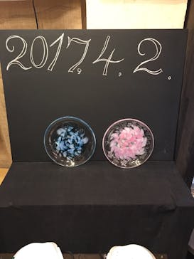 ちいさな硝子の本の博物館に投稿された画像（2017/4/3）