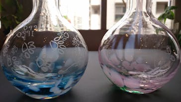 ちいさな硝子の本の博物館に投稿された画像（2017/5/3）