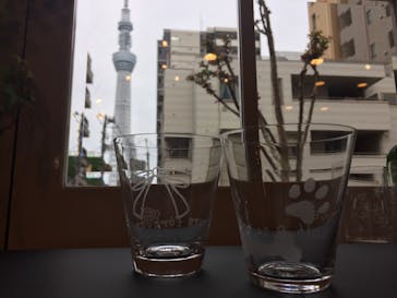 ちいさな硝子の本の博物館に投稿された画像（2017/5/3）