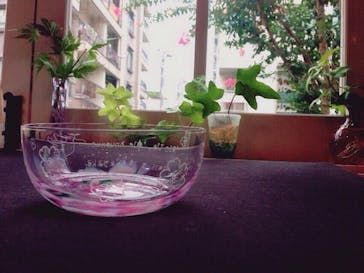 ちいさな硝子の本の博物館に投稿された画像（2015/8/30）