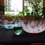 ちいさな硝子の本の博物館に投稿された画像（2015/9/25）