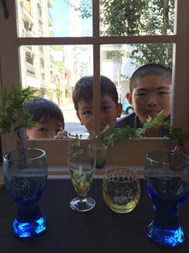 ちいさな硝子の本の博物館に投稿された画像（2015/8/5）