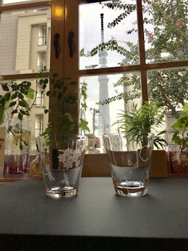 ちいさな硝子の本の博物館に投稿された画像（2016/10/10）