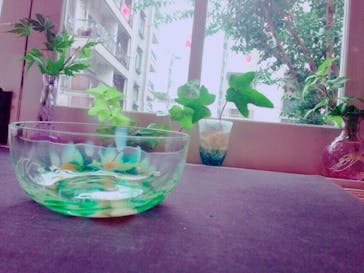 ちいさな硝子の本の博物館に投稿された画像（2015/8/30）