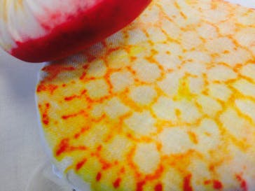 首里 琉染に投稿された画像（2015/3/20）