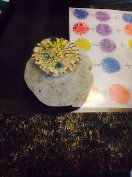 首里 琉染に投稿された画像（2015/3/20）