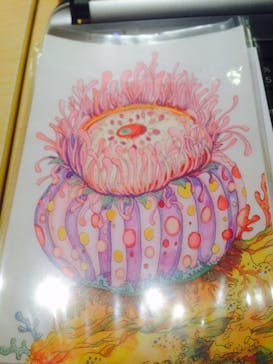 海のクラフト雑貨 Aki工房に投稿された画像（2015/3/24）