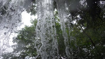 鳥取県自然体験塾に投稿された画像（2015/8/12）