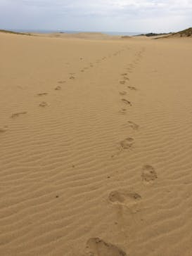 砂丘YOGA®に投稿された画像（2016/10/11）