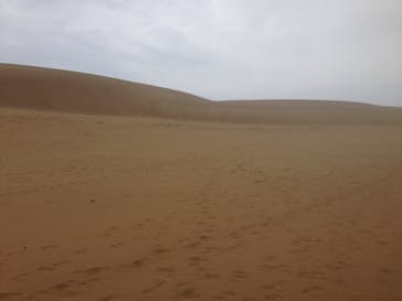 砂丘YOGA®に投稿された画像（2015/4/5）