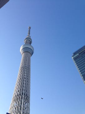 スタジオ楽卯（らくう）に投稿された画像（2015/3/22）