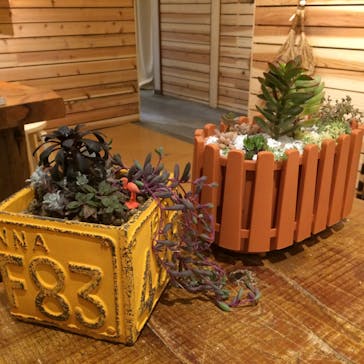 Leafy（リーフィー）に投稿された画像（2015/4/20）