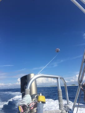 Sea World（シーワールド）に投稿された画像（2016/10/13）