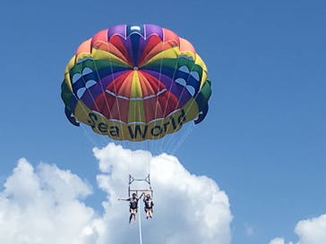 Sea World（シーワールド）に投稿された画像（2017/7/31）