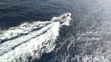 Sea World（シーワールド）に投稿された画像（2017/4/19）