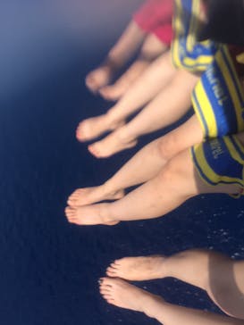 Sea World（シーワールド）に投稿された画像（2017/9/22）