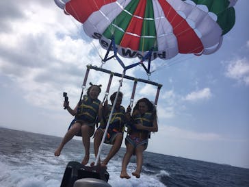 Sea World（シーワールド）に投稿された画像（2017/4/24）