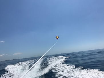 Sea World（シーワールド）に投稿された画像（2017/9/19）