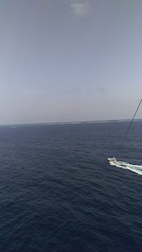 Sea World（シーワールド）に投稿された画像（2017/4/19）