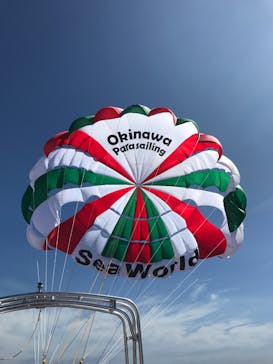 Sea World（シーワールド）に投稿された画像（2017/6/25）