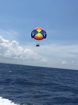 Sea World（シーワールド）に投稿された画像（2017/8/31）