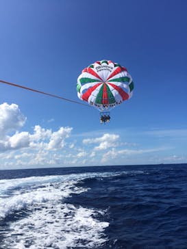 Sea World（シーワールド）に投稿された画像（2017/8/28）