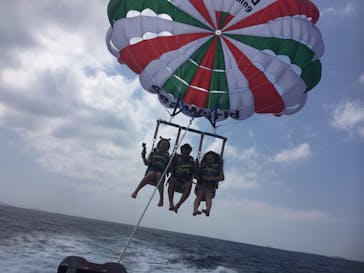 Sea World（シーワールド）に投稿された画像（2017/4/24）