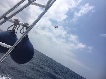 Sea World（シーワールド）に投稿された画像（2017/4/24）