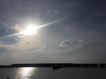 Sea World（シーワールド）に投稿された画像（2017/5/19）