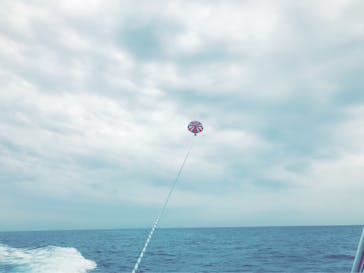 Sea World（シーワールド）に投稿された画像（2017/4/17）