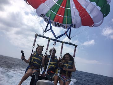 Sea World（シーワールド）に投稿された画像（2017/4/24）