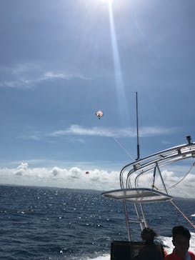 Sea World（シーワールド）に投稿された画像（2017/6/25）