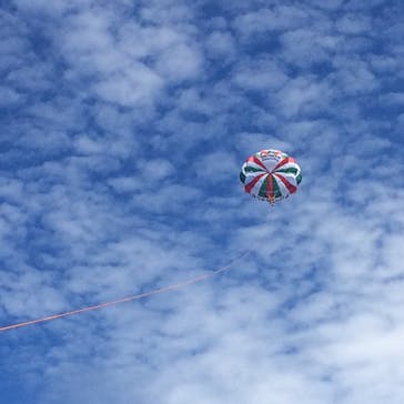 Sea World（シーワールド）に投稿された画像（2017/9/22）