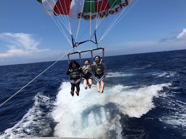 Sea World（シーワールド）に投稿された画像（2017/6/13）