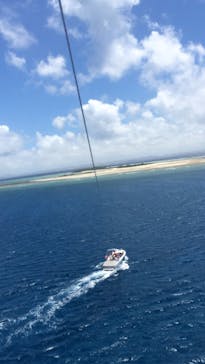 Sea World（シーワールド）に投稿された画像（2015/8/20）