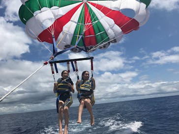 Sea World（シーワールド）に投稿された画像（2017/5/30）