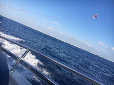 Sea World（シーワールド）に投稿された画像（2017/9/21）