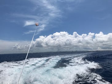 Sea World（シーワールド）に投稿された画像（2017/6/10）