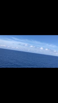 Sea World（シーワールド）に投稿された画像（2017/8/15）