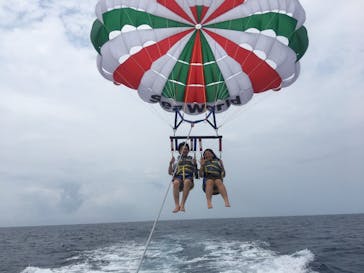 Sea World（シーワールド）に投稿された画像（2017/5/5）