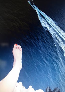 Sea World（シーワールド）に投稿された画像（2017/4/17）