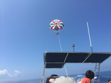 Sea World（シーワールド）に投稿された画像（2017/8/13）