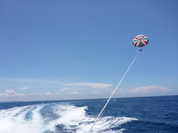 Sea World（シーワールド）に投稿された画像（2017/8/20）