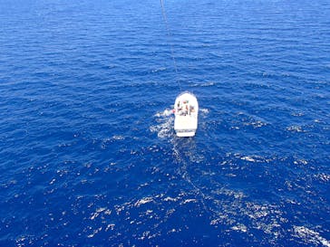 Sea World（シーワールド）に投稿された画像（2017/8/20）